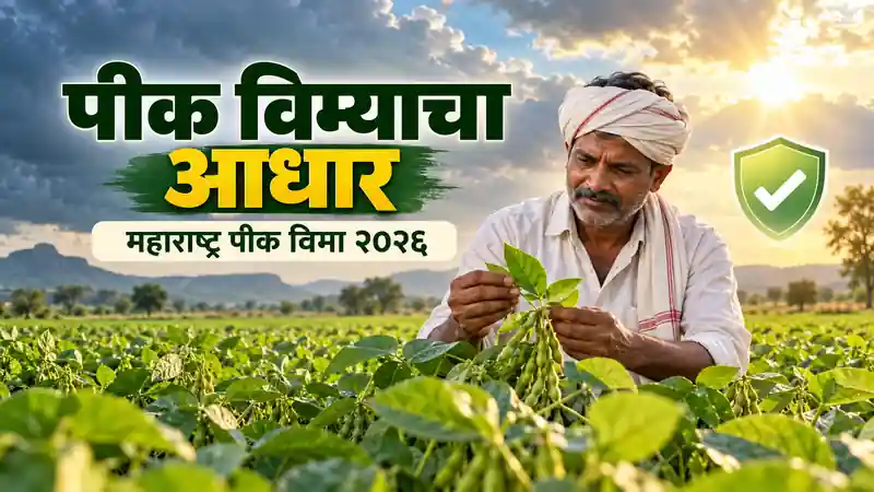 pm pik vima yojana maharashtra