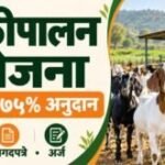 अहिल्या शेळी योजना महाराष्ट्र: अर्ज, पात्रता, अनुदान आणि शेळीपालन मार्गदर्शन 5 अहिल्या शेळी योजना