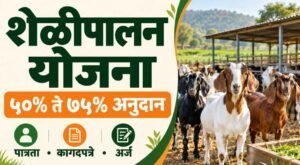शेळीपालन आणि अहिल्या शेळी योजनेची माहिती