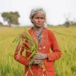 तुकडेबंदी कायदा: जमीन खरेदीपूर्वी सातबारा, नकाशा आणि परवानगी काय तपासावी? 4 तुकडेबंदी कायदा आणि जमीन व्यवहार