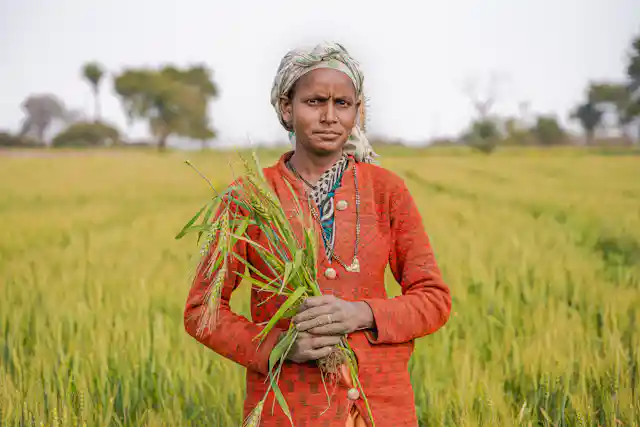 शेतजमिनीची पाहणी करणारा शेतकरी