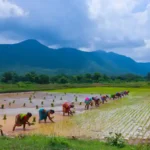 नुकसान भरपाई यादी महाराष्ट्र: पंचनामा, लाभार्थी नोंद आणि पैसे कसे तपासावेत? 5 नुकसान भरपाई यादी महाराष्ट्र